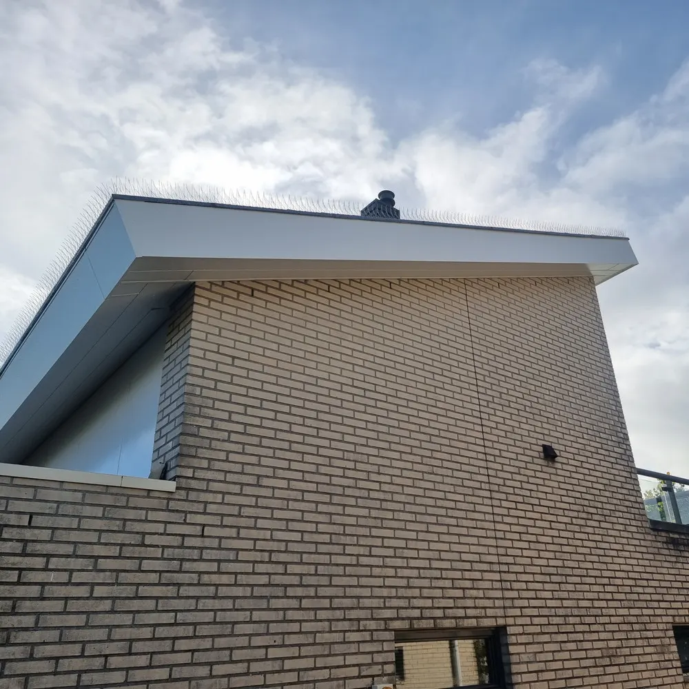 Renovatie project 1 door Fedor Timmerwerken